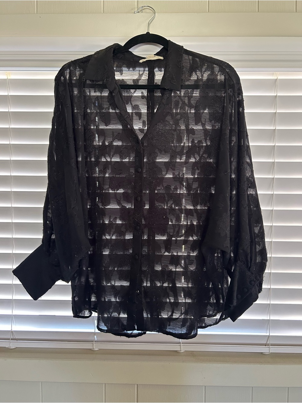 Vici Sheer Black Button-Down Floral Lace Blouse